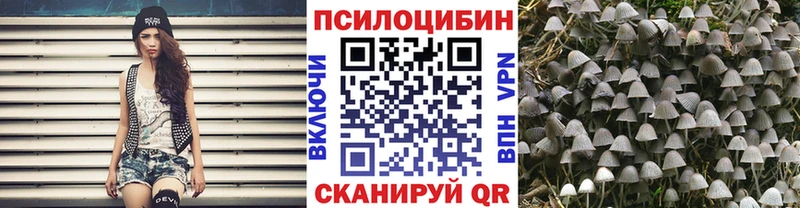 мориарти какой сайт  даркнет сайт  Сосновоборск  Псилоцибиновые грибы Magic Shrooms 